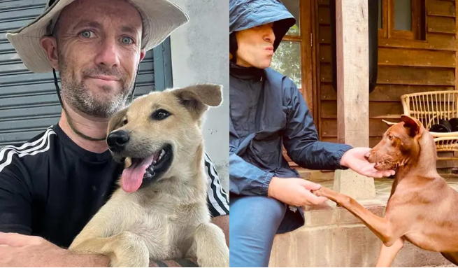Video - Liam Gallagher ha adottato un cane dalla Tailandia